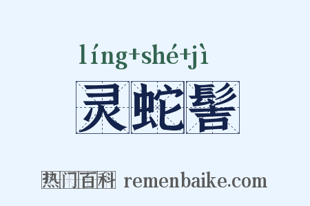 灵蛇髻是什么意思的图片